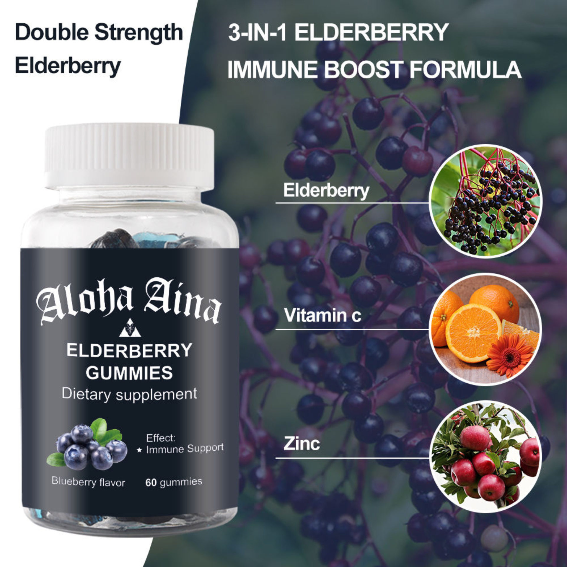 Buy wholesale Probiotics + Vitamins blackberry flavor gummies Aldous Labs
